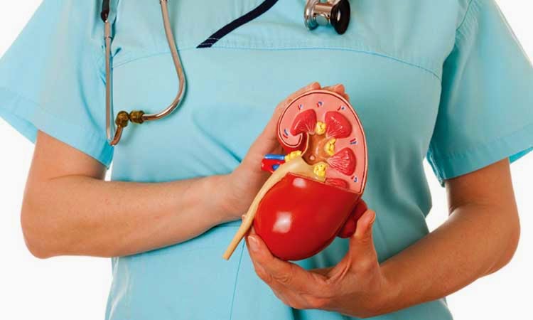 Laparoscopic Surgery for Kidney Diseases